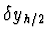 $\displaystyle \delta y_{h/2}$