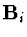 ${\bf B}_i$