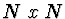 $N\ x\ N$